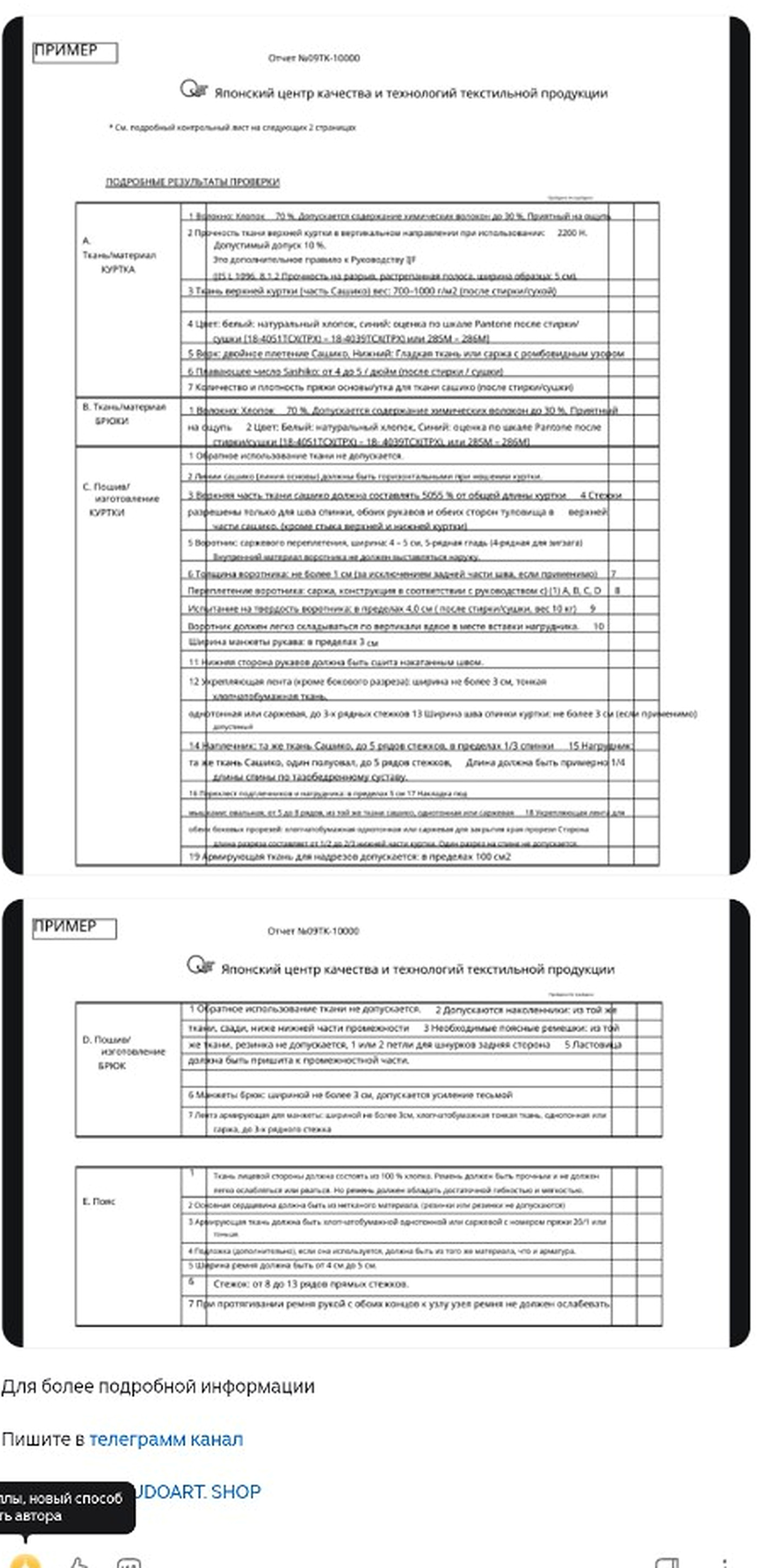 Подробные результаты проверки дзюдоги